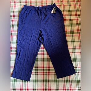 Maggie Barnes Blue Pants Plus Size 30W NWT